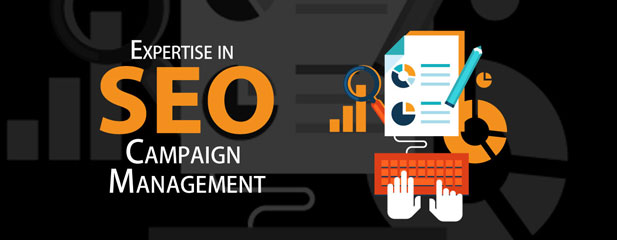 Highly Advanced SEO Management